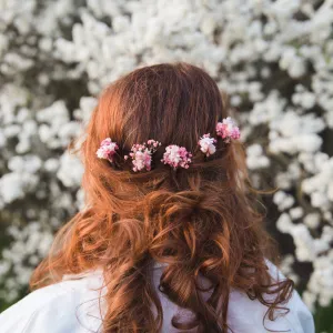 3/5/10pcs Natural pink and white dried hair pins