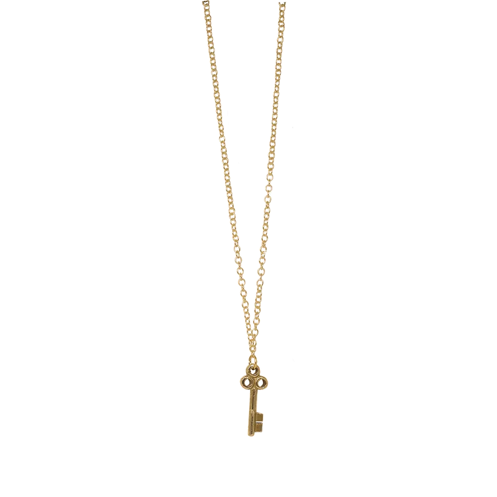 Delicate Charm Necklace