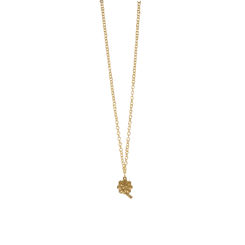 Delicate Charm Necklace