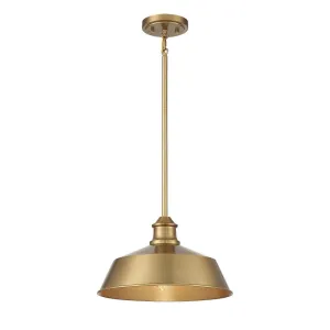 Meridian 14 in Pendant Light